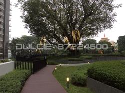 Bartley Residences (D19), Apartment #101804572